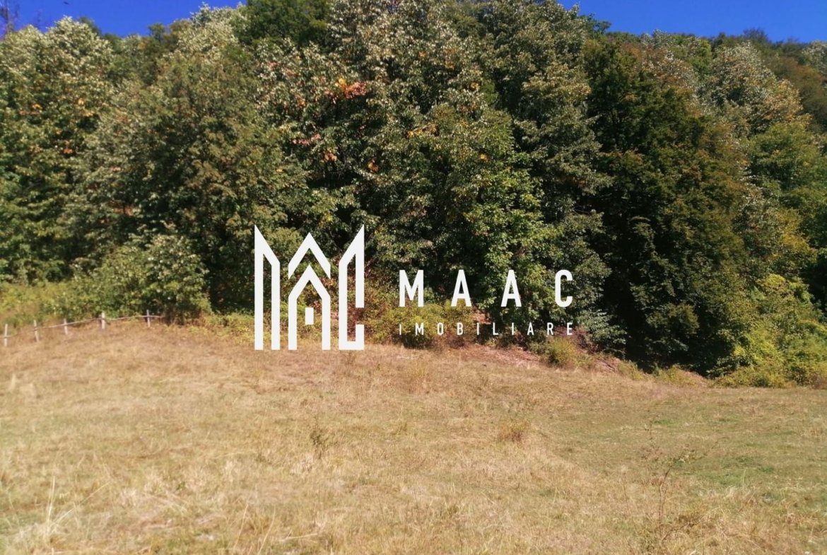 Teren Extravilan 20.000Mp I Stoenești -Vâlcea I Apă Curentă și Pădure