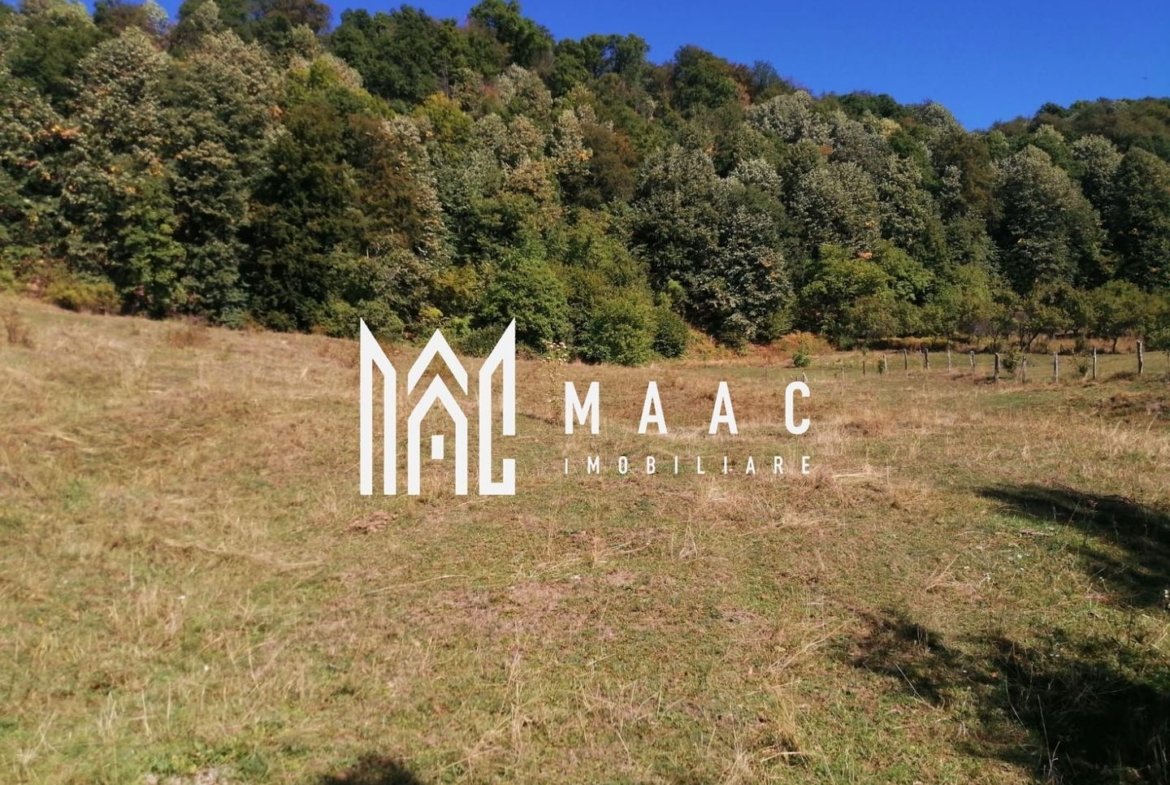 Teren Extravilan 20.000Mp I Stoenești -Vâlcea I Apă Curentă și Pădure