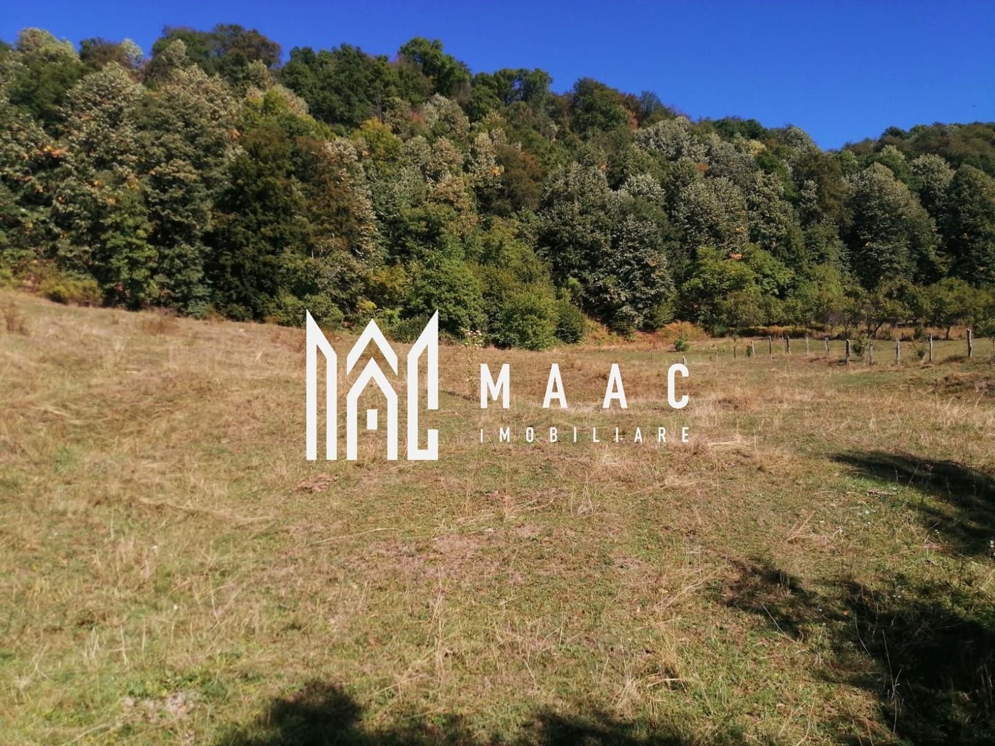 anBn-2885 Teren Extravilan 20.000Mp I Stoenești -Vâlcea I Apă Curentă și Pădure