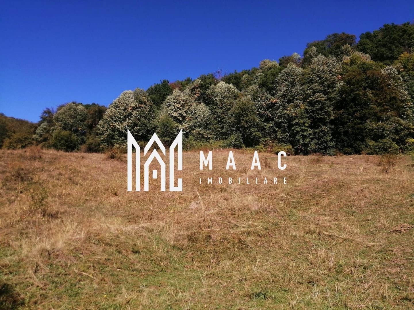 anBn-2886 Teren Extravilan 20.000Mp I Stoenești -Vâlcea I Apă Curentă și Pădure