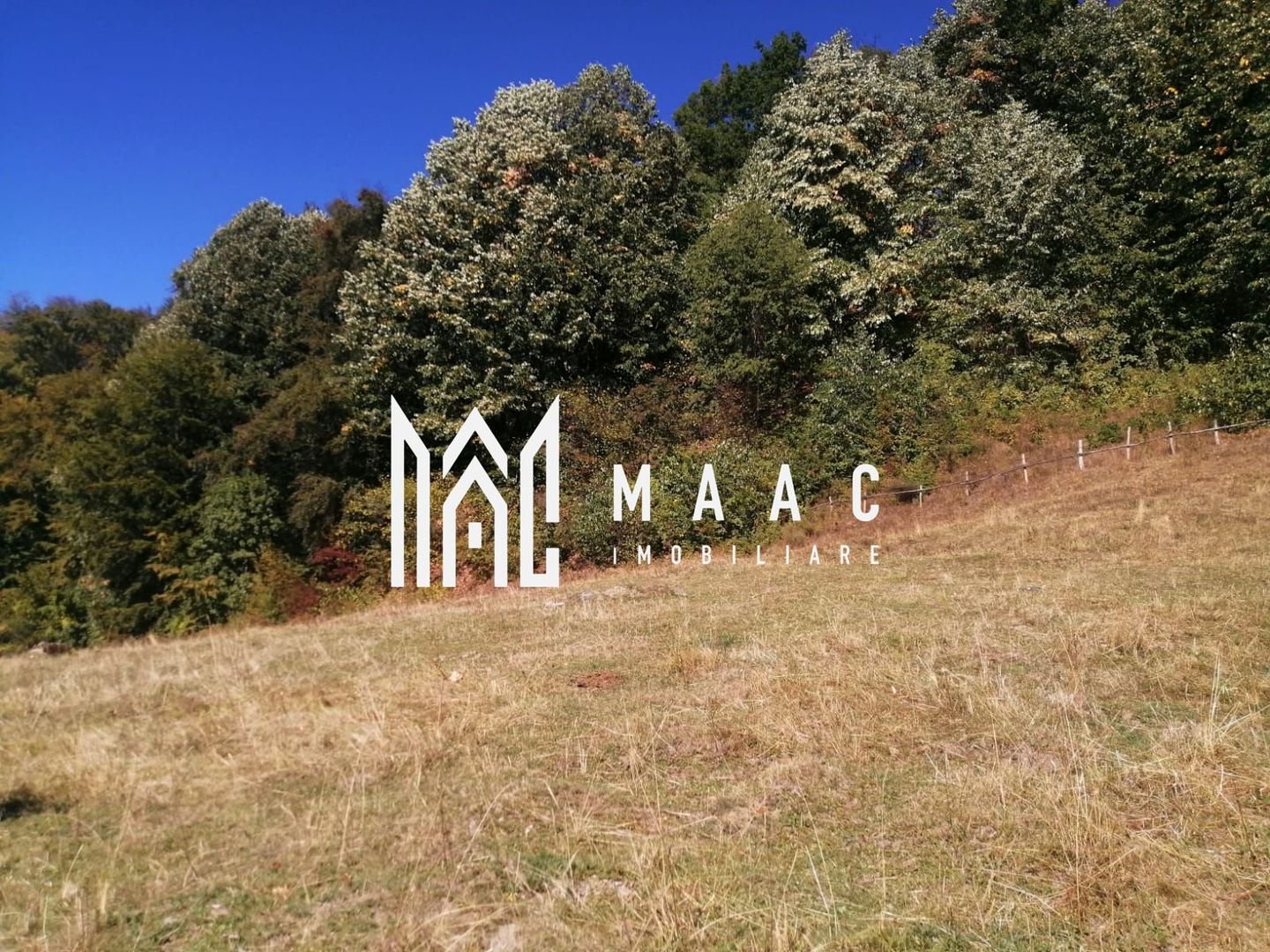 anBn-2888 Teren Extravilan 20.000Mp I Stoenești -Vâlcea I Apă Curentă și Pădure
