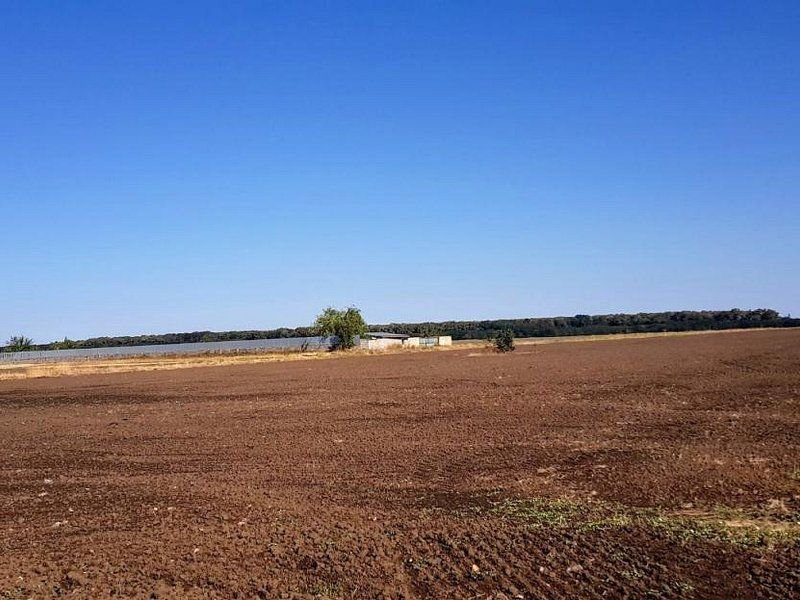 Branesti teren intravilan 30700 mp