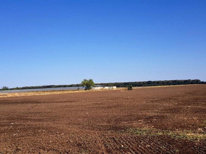 Branesti teren intravilan 30700 mp