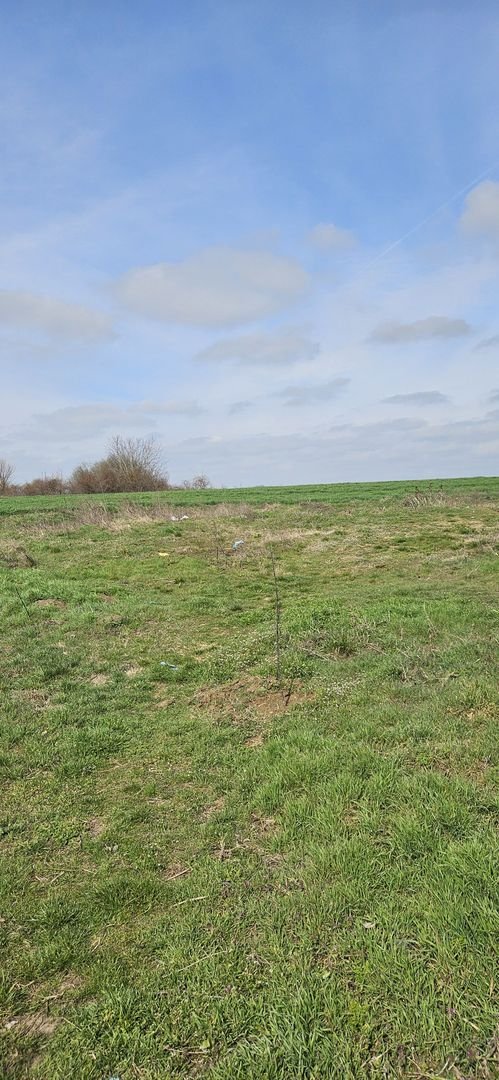 anBn-3857 Afumati Balta Batal teren de vanzare 7000 mp