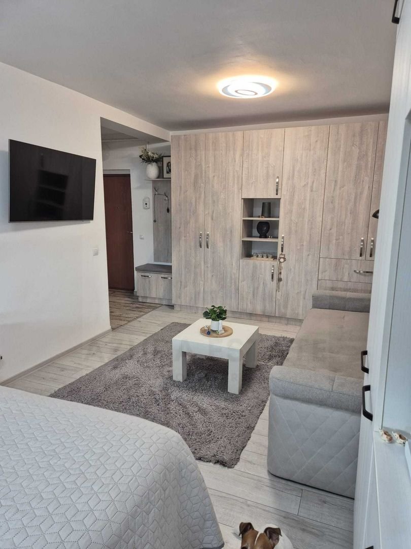 anBn-4166 Studio modern 40 mp utili cu bucatarie inchisa etaj 3 in Turnisor
