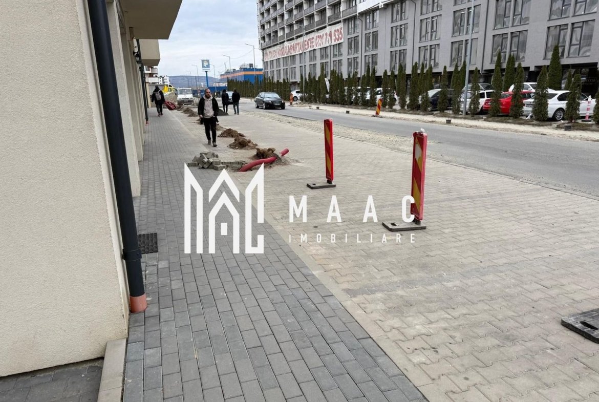 Spațiu Comercial | 76 MP | 4 Parcări | Doamna Stanca | Vad Excelent