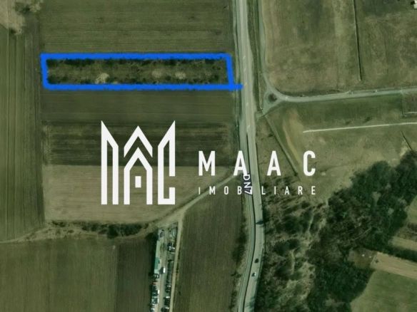 Teren Intravilan | 6400 mp | zona aeroport CP3117121