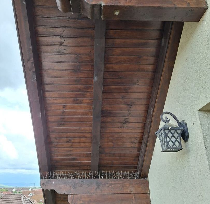 Casa individuala 149 mp utili S+P+M cu pivnita si pod in Selimbar
