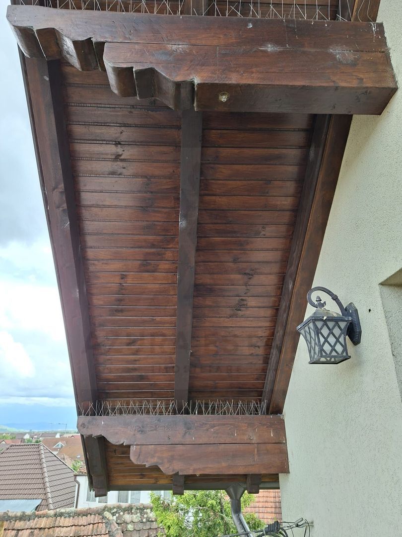 Casa individuala 149 mp utili S+P+M cu pivnita si pod in Selimbar