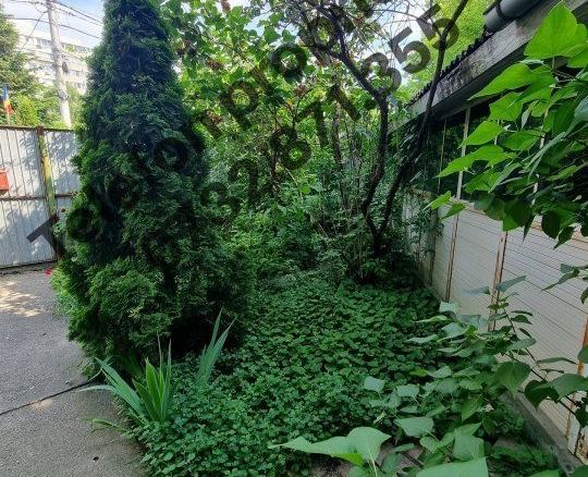 Vilă la 50 m de metrou Jiului
