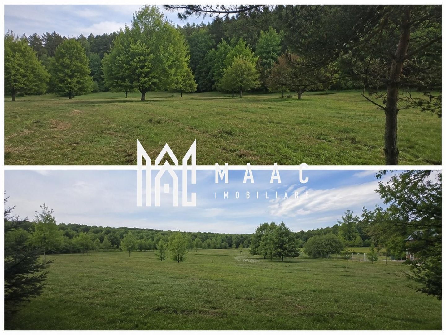 Teren extravilan 2000 mp | Rășinari | livadă, lângă Cisnădioara