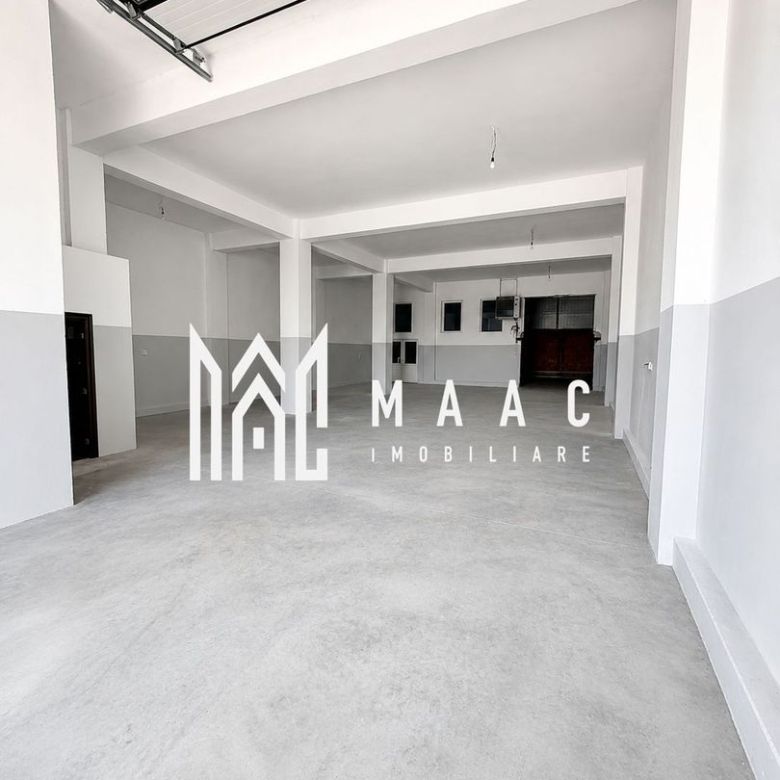 Hală industrială | 500 mp | Curte 600 mp | Zona Terezian - Imagine principala