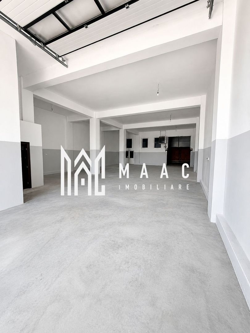 Hală industrială | 500 mp | Curte 600 mp | Zona Terezian - Imagine principala