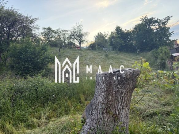 Teren intravilan 985 mp | Rășinari, Sibiu | pentru construcții - Imagine principala