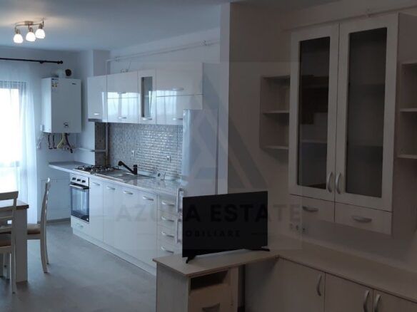 Apartament 2 camere 50 mp utili terasa 12 mp parcare Doamna Stanca - foto 2