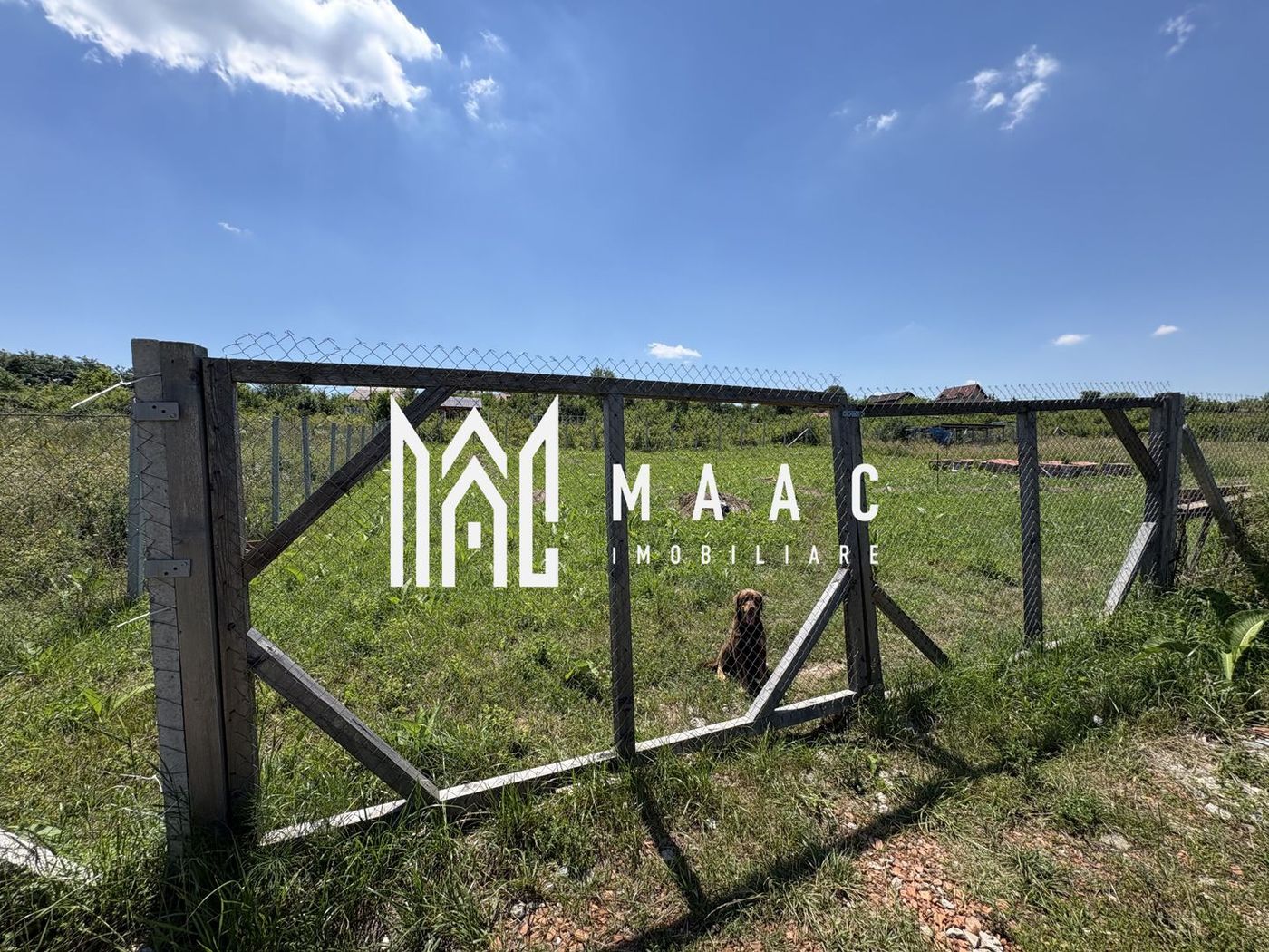 Teren intravilan 500 mp | Daia Nouă, Sibiu | acces facil, utilități în apropiere - foto 4