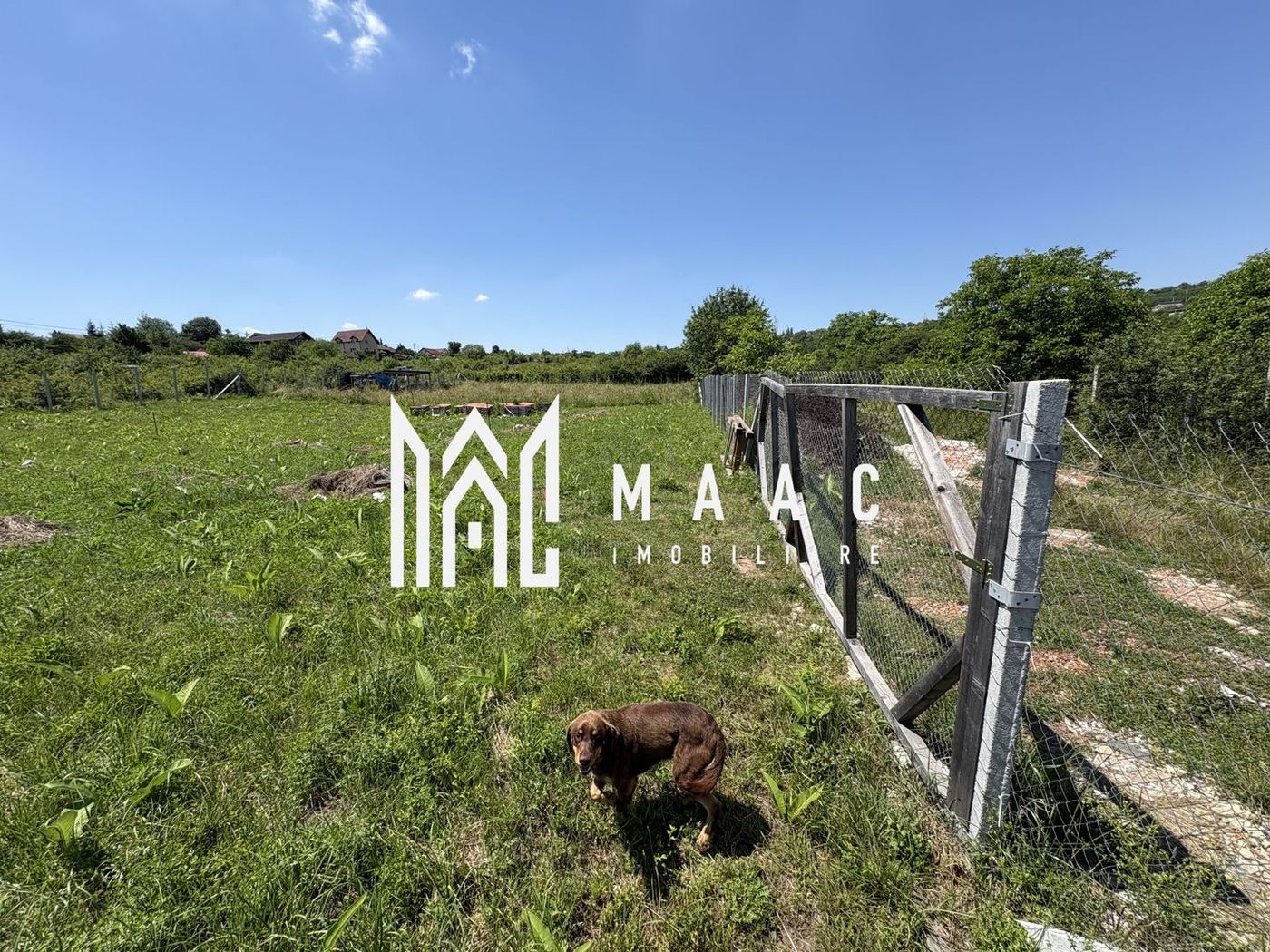 Teren intravilan 500 mp | Daia Nouă, Sibiu | acces facil, utilități în apropiere - foto 6