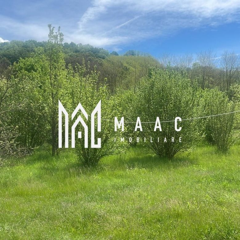 Teren extravilan 61.000 mp | Veseud, Sibiu | plantație aluni, trufe