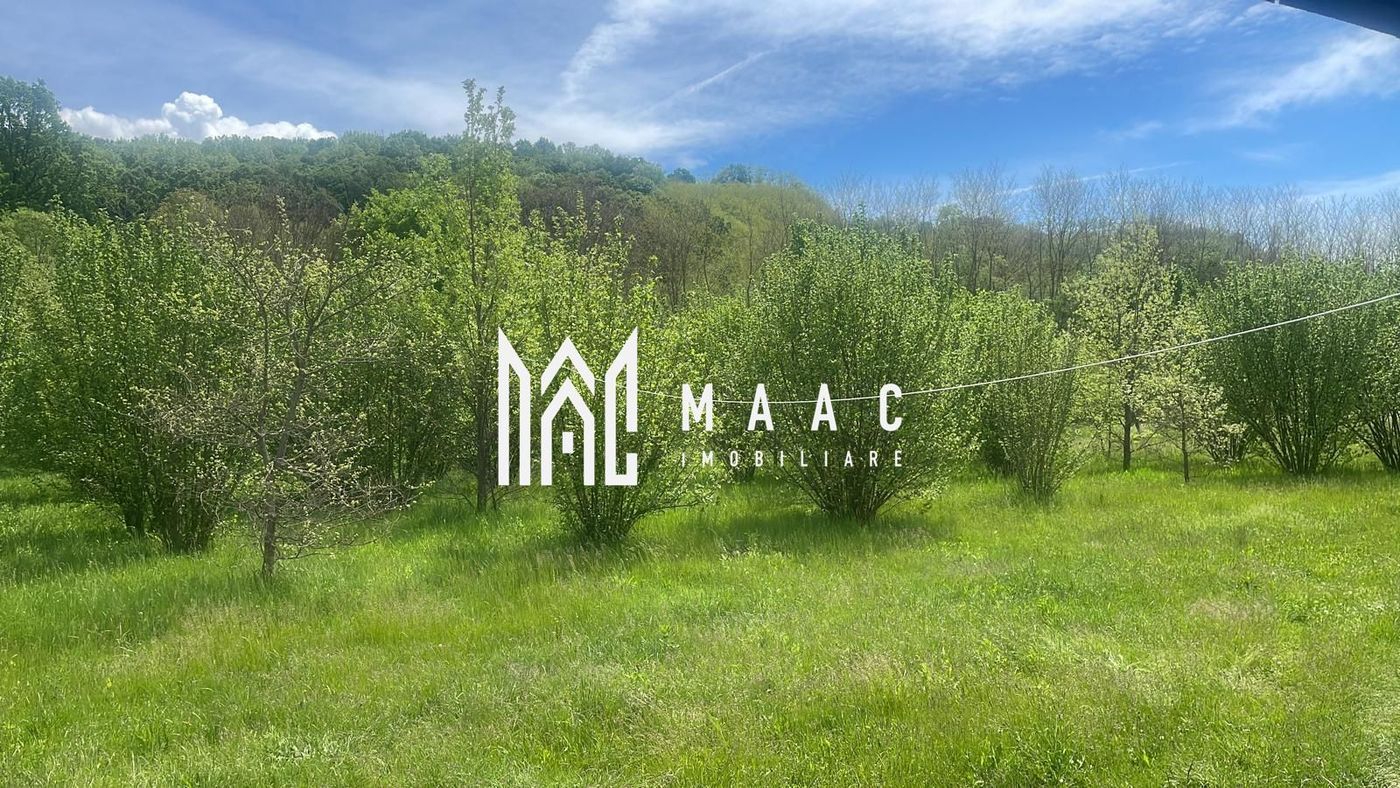 Teren extravilan 61.000 mp | Veseud, Sibiu | plantație aluni, trufe - Imagine principala
