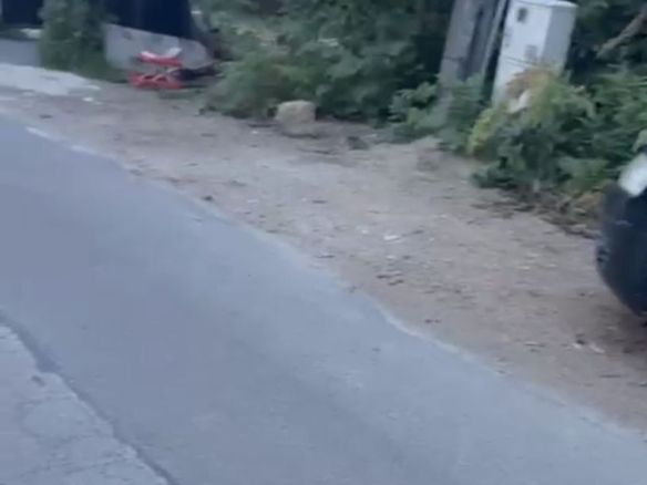 Ciolpani teren intravila 2500 mp de vanzare - foto 2