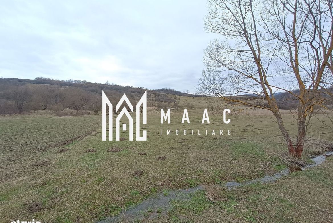 Teren intravilan Ocnele Mari | 2500mp |