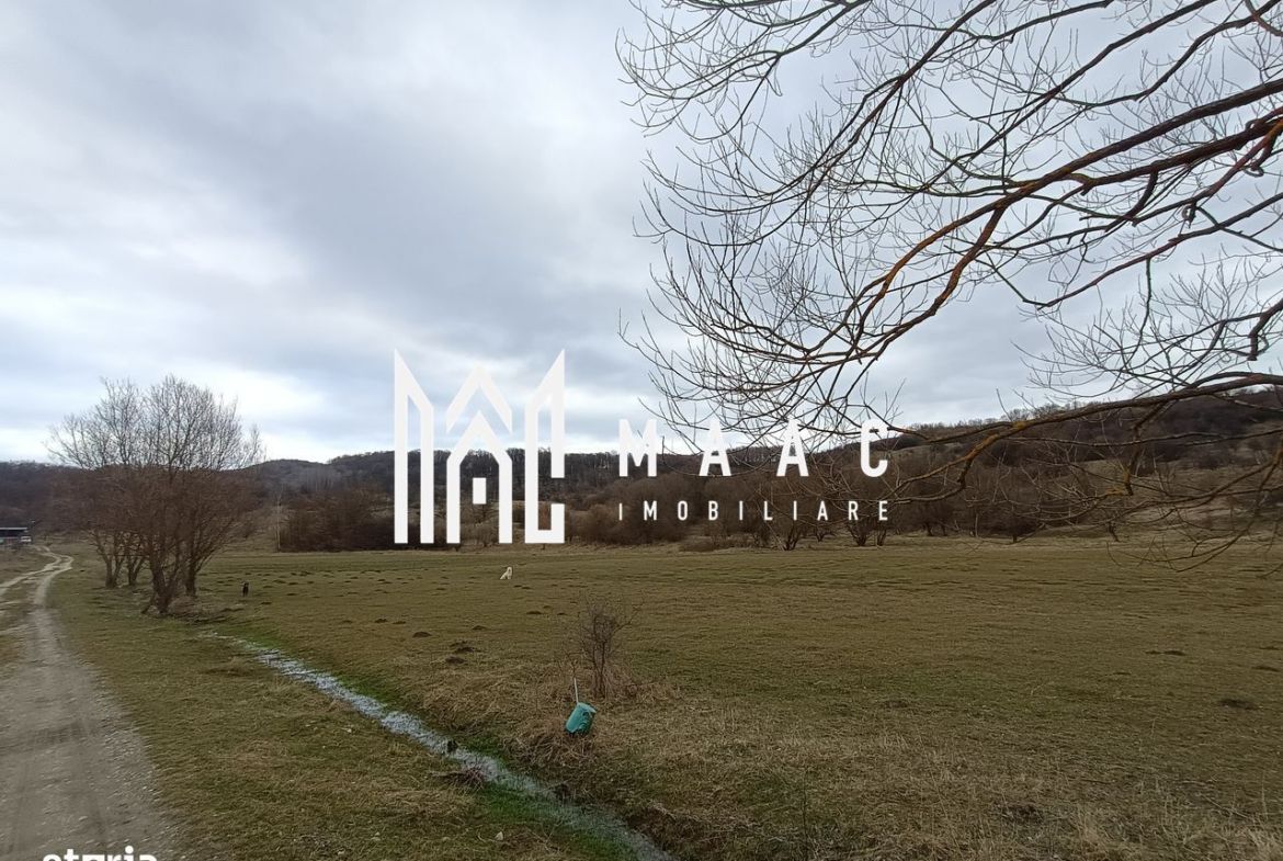 Teren intravilan Ocnele Mari | 2500mp |
