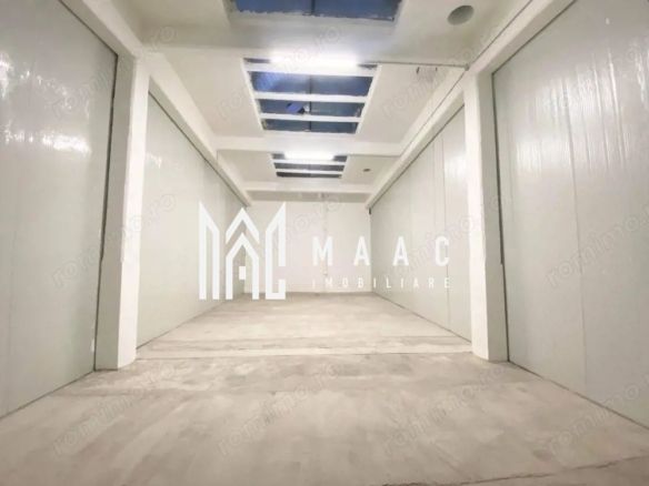 Hală de închiriat I 100 mp I Cisnădie, Sibiu