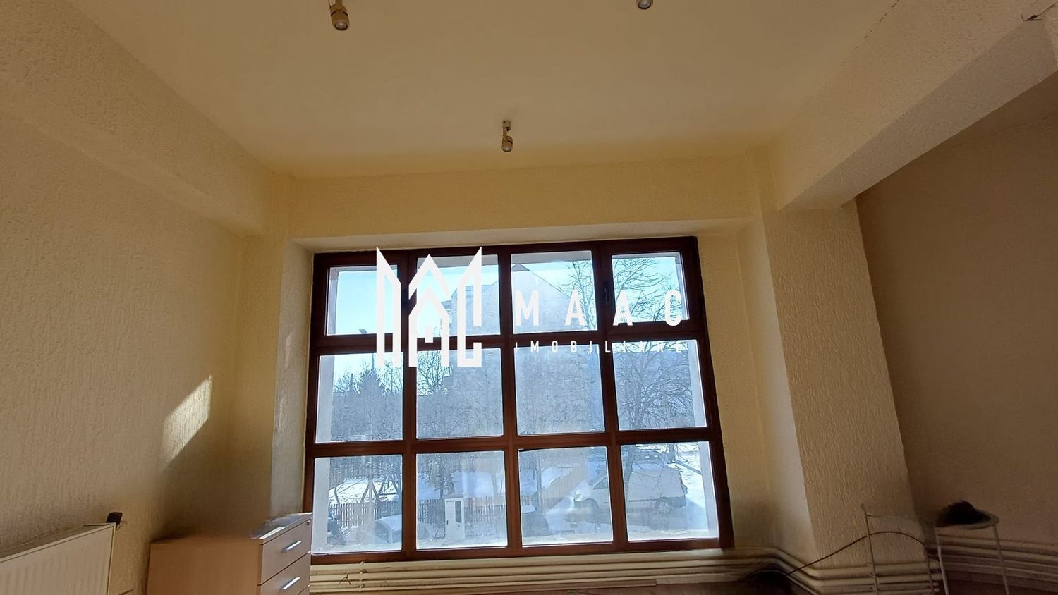 Spatiu comercial | 25 MPU | Turnisor