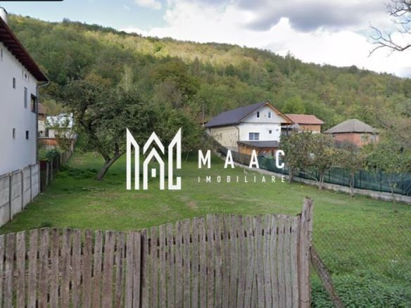 Teren Intravilan 10.000 mp | Livadă + Pădure de salcâm | Bărbătești