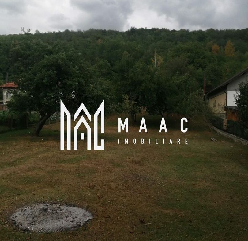 Teren Intravilan 10.000 mp | Livadă + Pădure de salcâm | Bărbătești