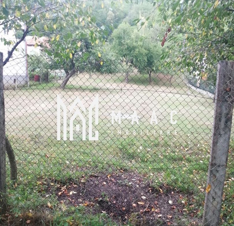 Teren Intravilan 10.000 mp | Livadă + Pădure de salcâm | Bărbătești