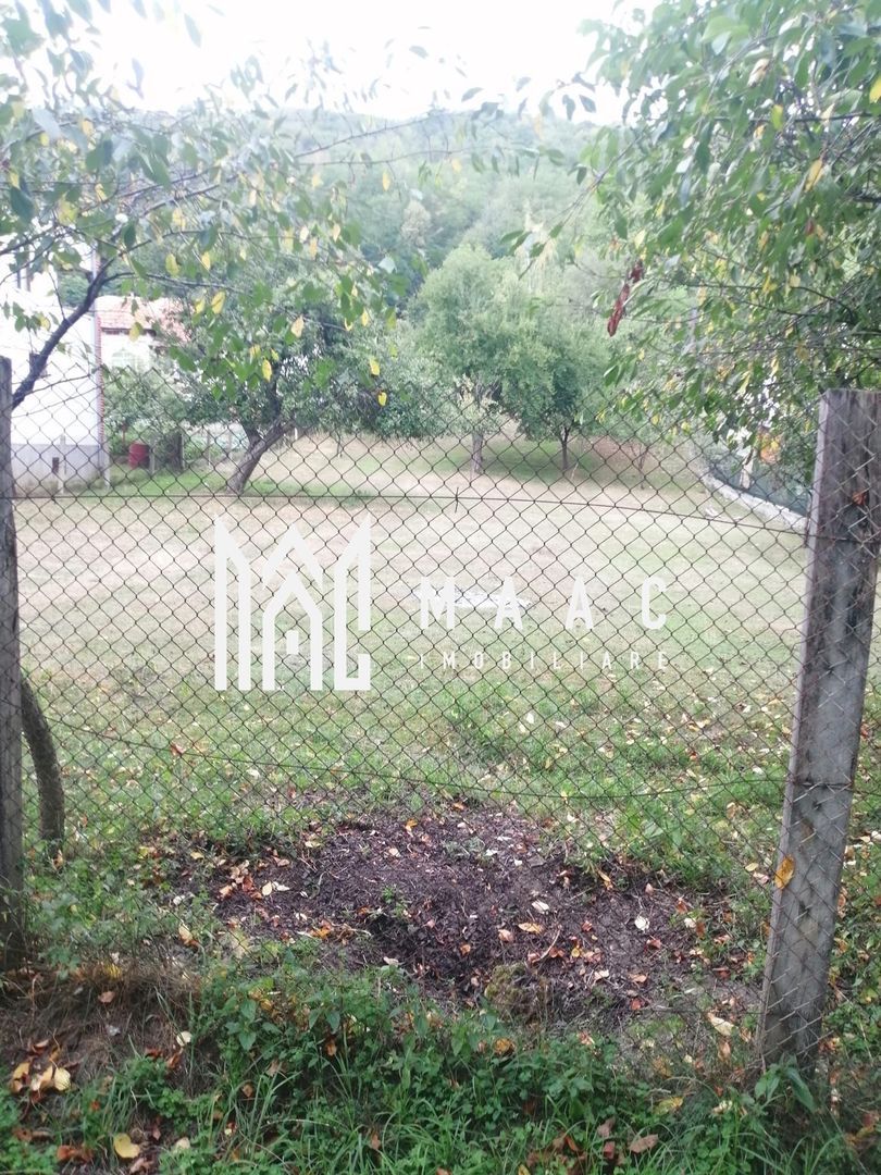 anBn-14510 Teren Intravilan 10.000 mp | Livadă + Pădure de salcâm | Bărbătești