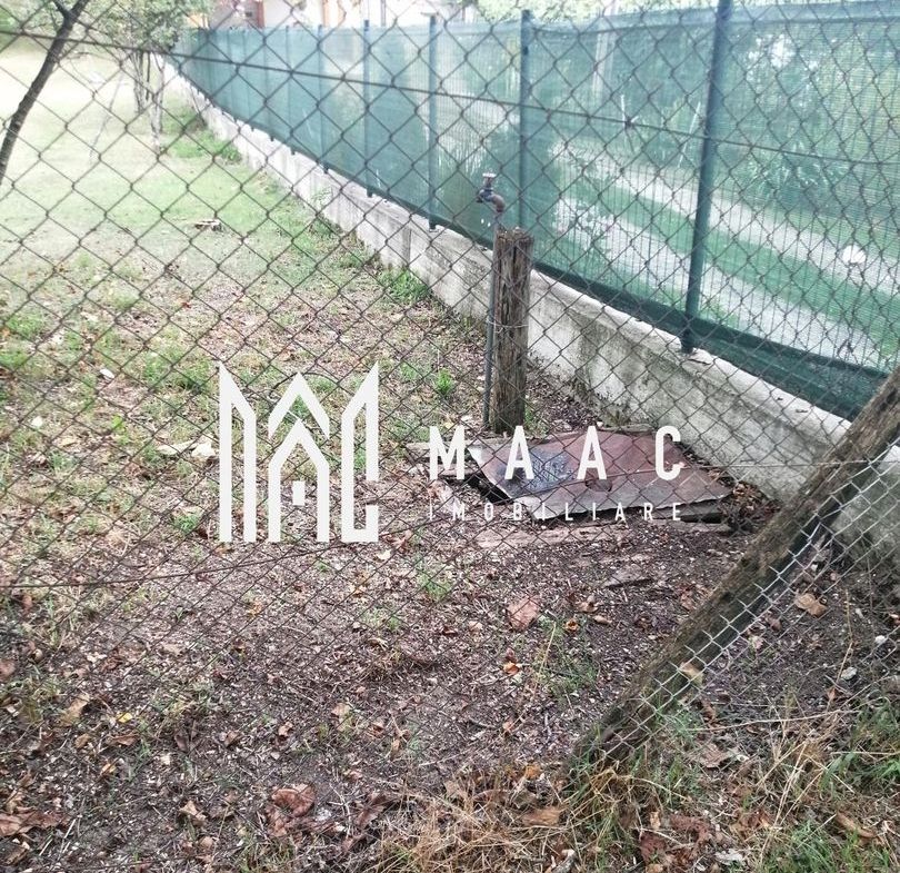 Teren Intravilan 10.000 mp | Livadă + Pădure de salcâm | Bărbătești