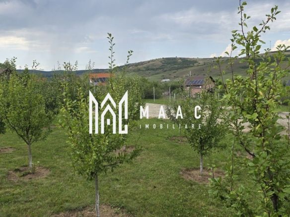 Teren Intravilan | 670 Mp |  Daia