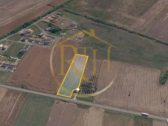 Teren intravilan 5.000 mp, Bucovăț, ideal dezvoltare case ! 0% Comision!