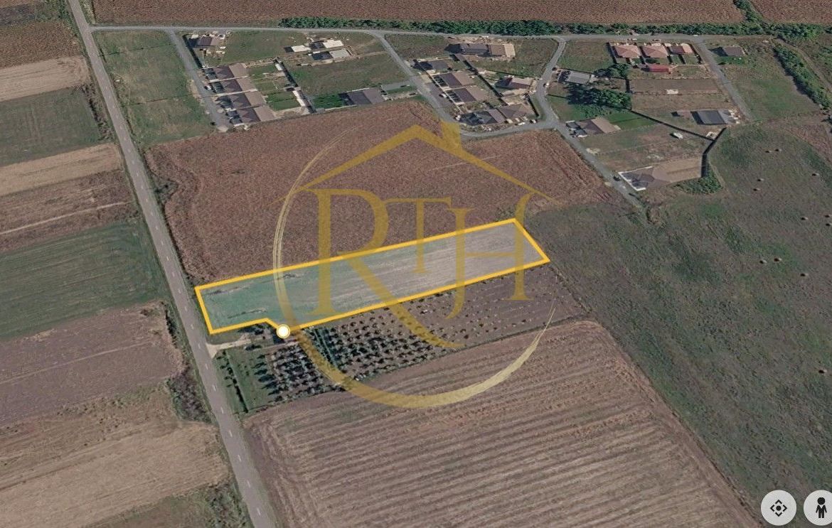 Teren intravilan 5.000 mp, Bucovăț, ideal dezvoltare case ! 0% Comision!