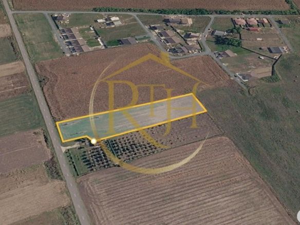 Teren intravilan 5.000 mp, Bucovăț, ideal dezvoltare case ! 0% Comision!