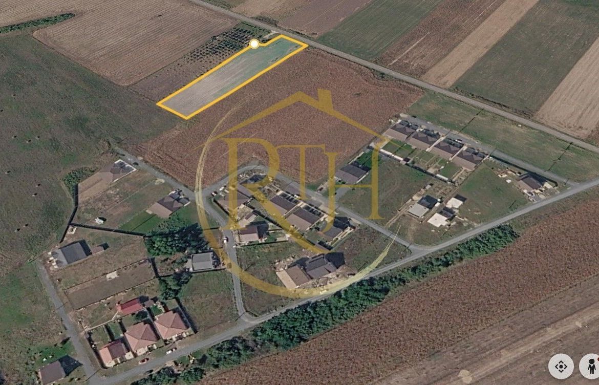 Teren intravilan 5.000 mp, Bucovăț, ideal dezvoltare case ! 0% Comision!