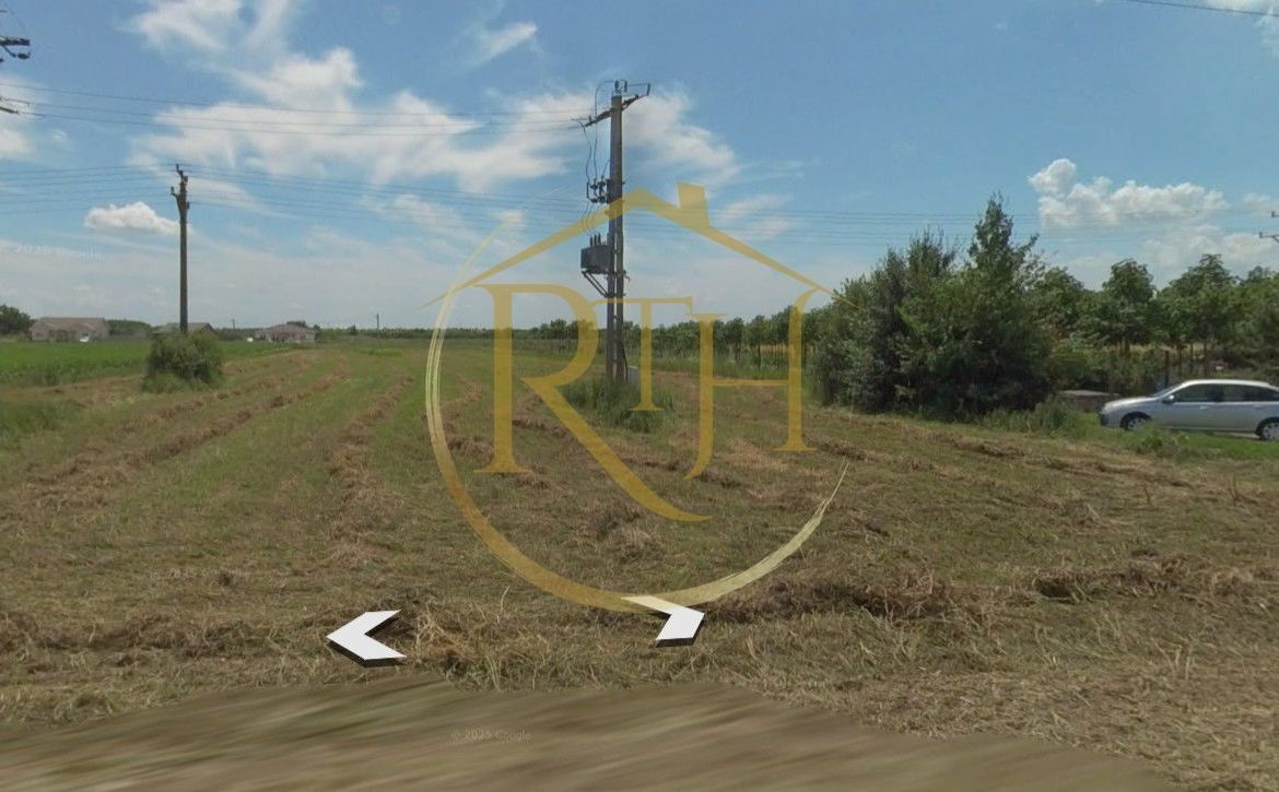 Teren intravilan 5.000 mp, Bucovăț, ideal dezvoltare case ! 0% Comision!