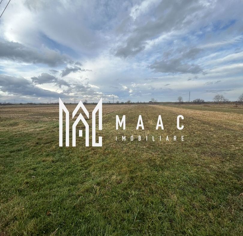 Teren Intravilan I Cârțișoara I 1200 MP