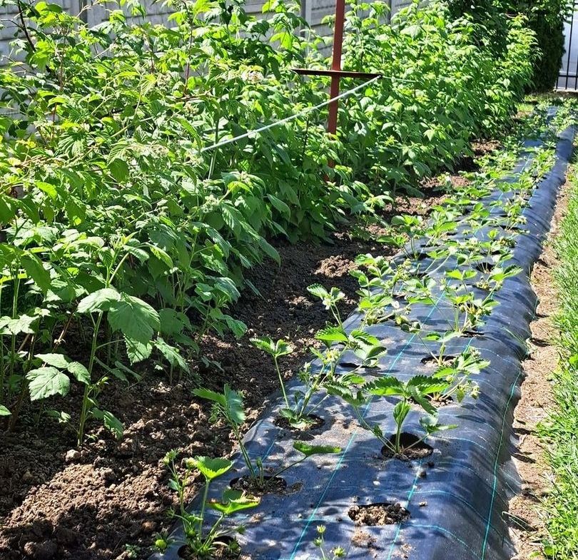 Casă individuală 5 camere cu garaj curte si gradină Șura Mare - foto 13
