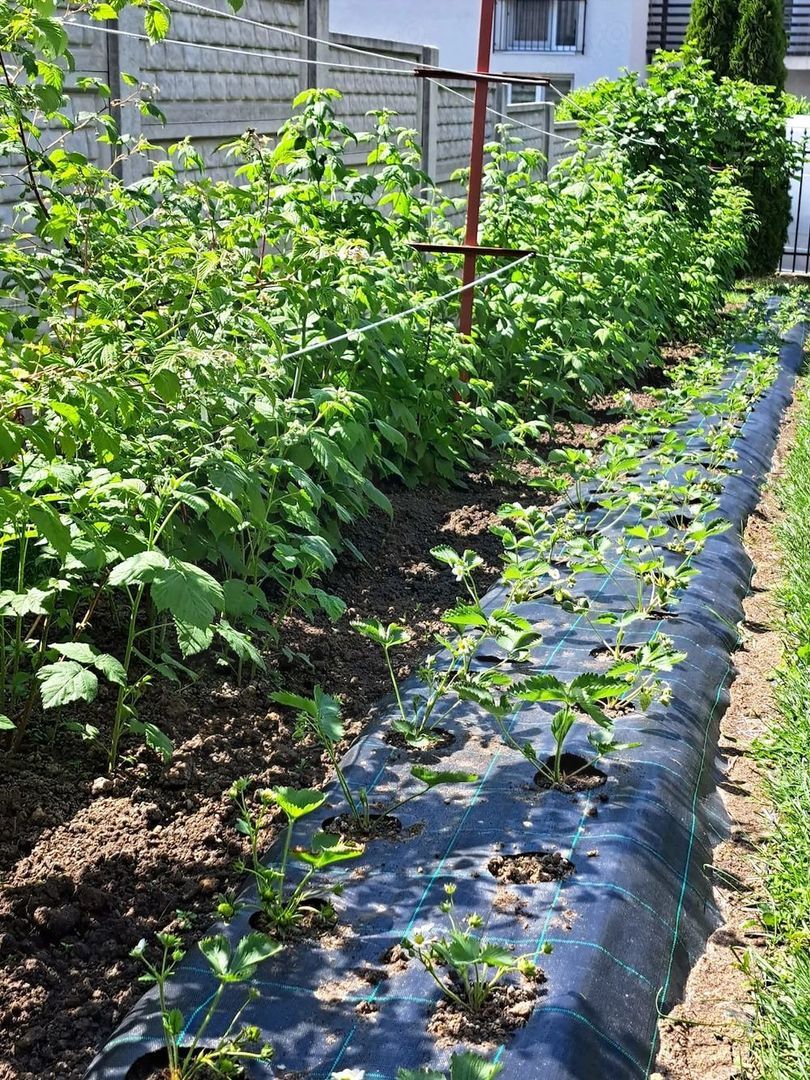 Casă individuală 5 camere cu garaj curte si gradină Șura Mare - foto 13