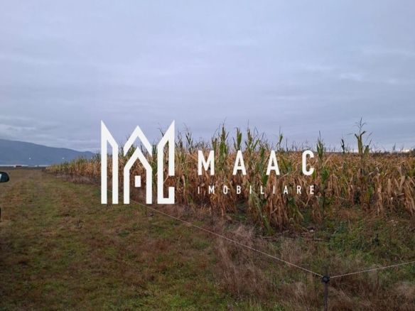 Teren Intravilan | 3900 MP | Tălmaciu