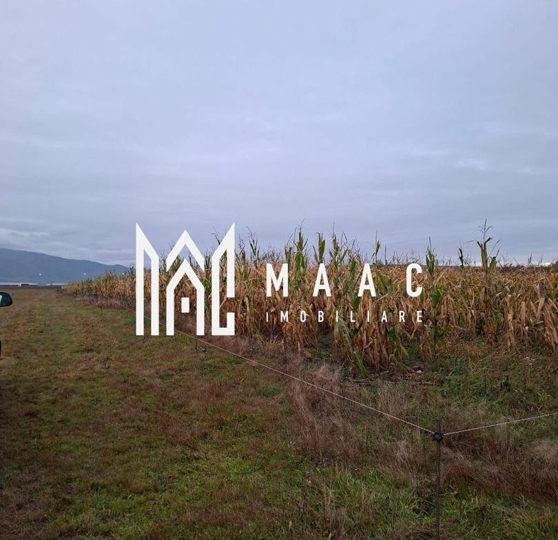 Teren Intravilan | 3900 MP | Tălmaciu
