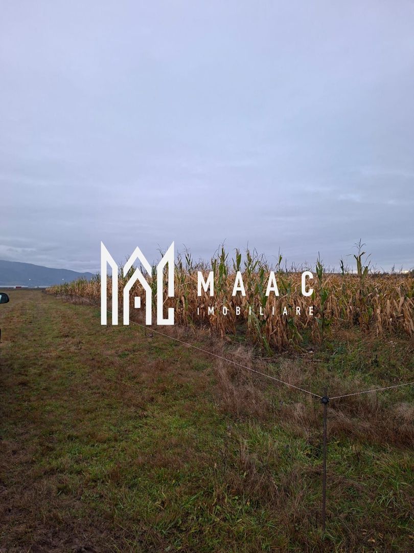 Teren Intravilan | 3900 MP | Tălmaciu