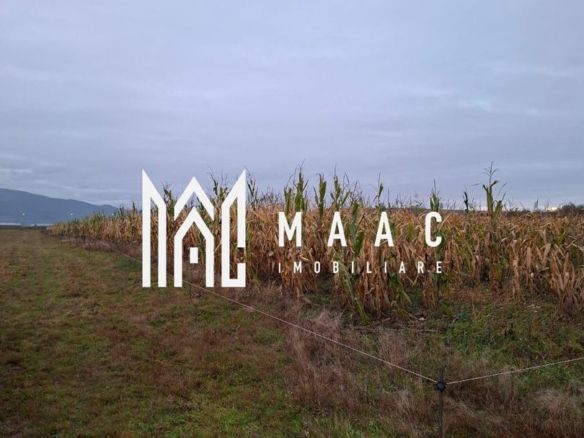 Teren Intravilan | 3900 MP | Tălmaciu