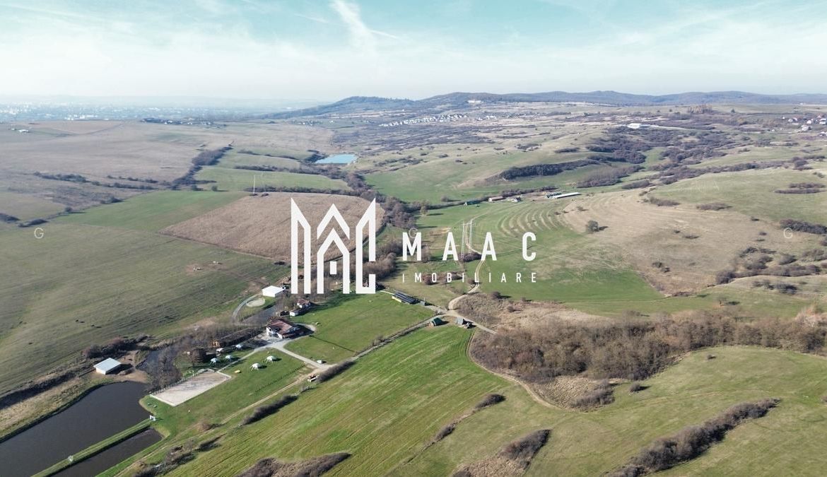 Teren 6,75 ha | Panoramă și Acces Excelent | Dealul Daii