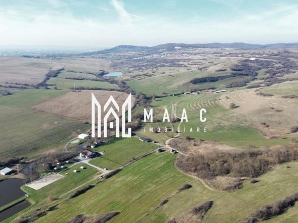 Teren 6,75 ha | Panoramă și Acces Excelent | Dealul Daii