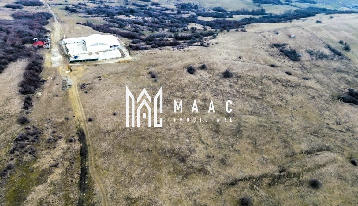 Teren 6,75 ha | Panoramă și Acces Excelent | Dealul Daii