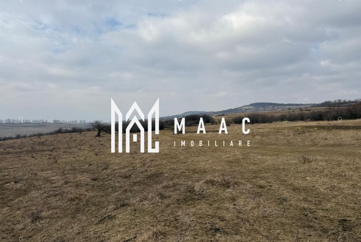 Teren 6,75 ha | Panoramă și Acces Excelent | Dealul Daii